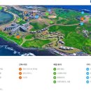 느나제주 네이버블로그