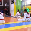 학사 태권도 이미지