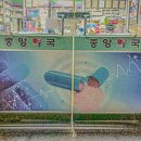 밝은중앙약국 | [부여 약국 도어시트 시공] 리뉴얼로 밝아진 외관, 깔끔한 첫인상 완성 – K토탈싸인