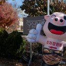 명품 화정둘레길 음식거리 네이버블로그