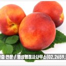 명성 행정사사무소 이미지