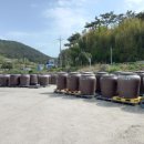 삼동면 전도3 이미지