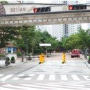 숲속자연앤데시앙 티스토리