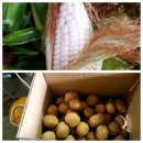 상운농장 이미지