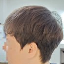 두피모발 관리사  (자격증반) | 제주 두피관리 제대로 받고 온 후기｜1:1 맞춤 케어 아로모 탈모 두피클리닉