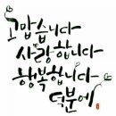 와이에스365