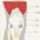 시지광장약국 이미지
