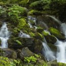 연하농장 이미지