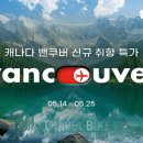글로벌뷰여행사 이미지