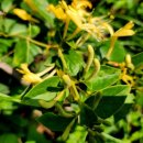 엠디바이오알파 이미지