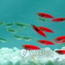부경개발 이미지