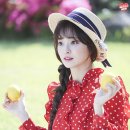 나경 이미지