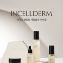 인셀덤 - 성남시 수정구 산성대로 273-8 | 인셀덤