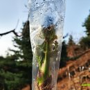 고실농장 이미지