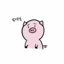쯔쿠시 이미지