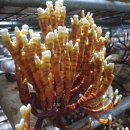 SNS 활용 동영상 편집 이미지