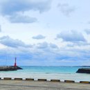 조천초등학교교래분교 이미지