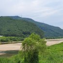 산천초목 이미지