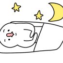 아르떼 퍼피 이미지