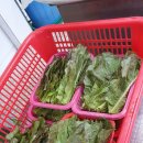 고창풍천수산 이미지