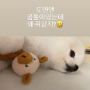 뚝딱