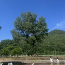 명성송어장 | 문경 가은 여행 | 추억 속 그 자리, '카페 가은역'에서 힐링하고 '민지송어장'에서 입맛 다시다!