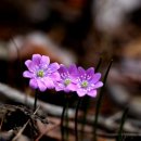 인사불성 이미지