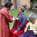 노루목향기 이미지