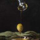 올리브펫 이미지