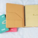 청개구리노래연습장 이미지