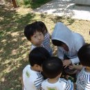 무궁화어린이집 이미지