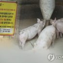이엠티 이미지