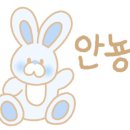 뷰티플러스(메이크업)
