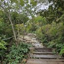 평원농장 | ◈울산 영남 알프스 간월재 억새 평원 등산 후기◈