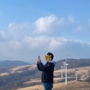 혜정목장 이미지