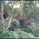 대산리축사 이미지