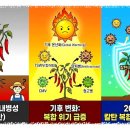 유전농장 | 2026년 고추 품종 트렌드와 유전적 특성 분석