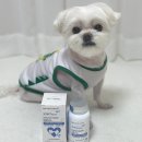 하랑바이오 이미지