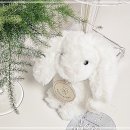 노블 소프트 이미지