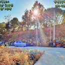 용문행복공인중개사사무소 이미지