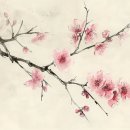 광교공영주차장 이미지