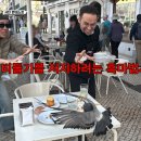 지구오락실 이미지