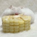 (주)디비라인 | [개정] 9월 3주차 결산