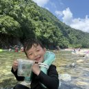 이동계곡 캠핑장 | 서울근교 가평 계곡 캠핑 구름계곡오토캠핑장 물놀이 후기