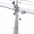 재난무선방송 이미지