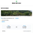월악아지트캠핑장 이미지