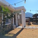 청도강변돌고래펜션 이미지