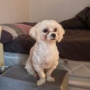 동암동물병원 이미지