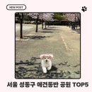 서울숲약국 | 성동구 애견동반 공원 5곳 총정리｜강아지랑 가기 좋은 서울숲·성수동·금호동 산책코스!