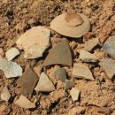 백제초등학교 이미지